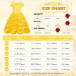 لباس پرنسسی دخترانه آملز‌بارلی | AmzBarley Princess Costume - Image 4