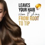 شامپو 2در1 پنتن پرووی دیلی کر | Pantene Pro-V Daily Care 1L
