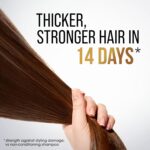 شامپو 2در1 پنتن پرووی دیلی کر | Pantene Pro-V Daily Care 1L