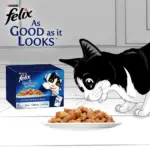 غذای مرطوب گربه پورینا فلیکس | Purina Felix Doubly Delicious Ocean Menu (85g x 12)