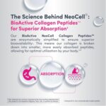 پودر کلاژن نئو‌سِل NeoCell مدل Super Collagen Peptides | بدون طعم 10g