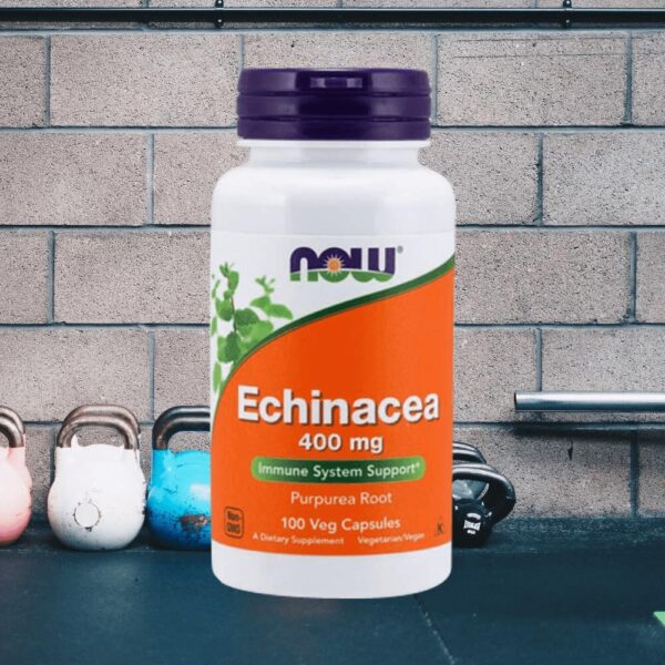 اکیناسه 400 میلی‌گرم NOW | NOW Foods Echinacea 400mg | 100 کپسول