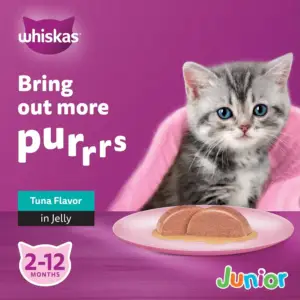 غذای مرطوب بچه گربه ویسکاس تن در ژله | Whiskas Junior | پَک 10+2
