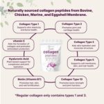پودر پپتید کلاژن چندگانه میکرو اینجردینتس | Micro Ingredients Multi Collagen Peptides