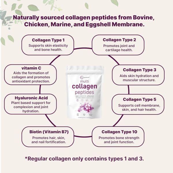پودر پپتید کلاژن چندگانه میکرو اینجردینتس | Micro Ingredients Multi Collagen Peptides