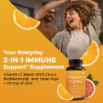 ویتامین C با زینک ویوا نچرالز | Viva Naturals مدل 3051