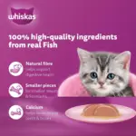 غذای مرطوب بچه گربه ویسکاس تن در ژله | Whiskas Junior | پَک 10+2