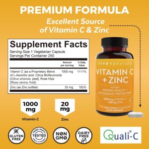ویتامین C با زینک ویوا نچرالز | Viva Naturals مدل 3051