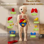 ست اسباب‌بازی آموزشی STEM مونتاژ دستی 15 تکه