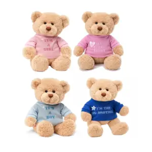 عروسک پولیشی خرس با تی‌شرت جداشونده مدل Message Bear