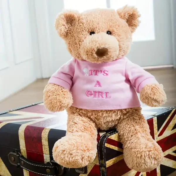 عروسک پولیشی خرس با تی‌شرت جداشونده مدل Message Bear