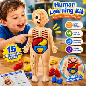 ست اسباب‌بازی آموزشی STEM مونتاژ دستی 15 تکه