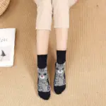 سوتین کاتون طرح گربه کارتونی ۵ جفتی جوراب ساق‌دار