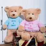 عروسک پولیشی خرس با تی‌شرت جداشونده مدل Message Bear