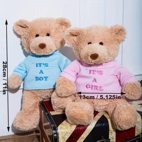 عروسک پولیشی خرس با تی‌شرت جداشونده مدل Message Bear