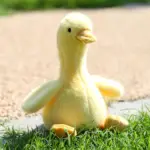 عروسک پولیشی اردک جیاجچوف مدل Duck Duck